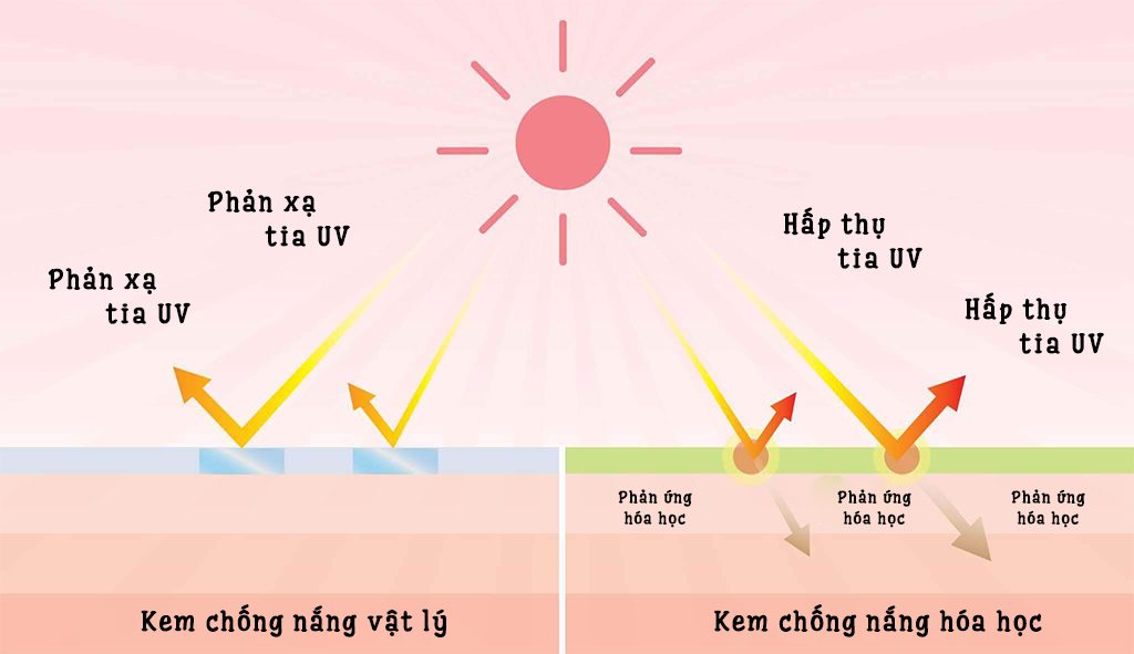 Kem chống nắng vật lý và kem chống nắng hóa học – Đâu là sự lựa chọn phù  hợp? - Rilastil Việt Nam